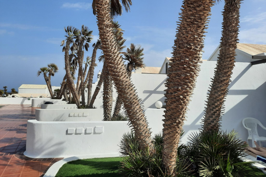 Frame 289738 Frame 289738